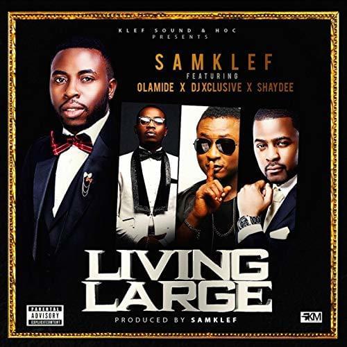 Living Large by Samklef