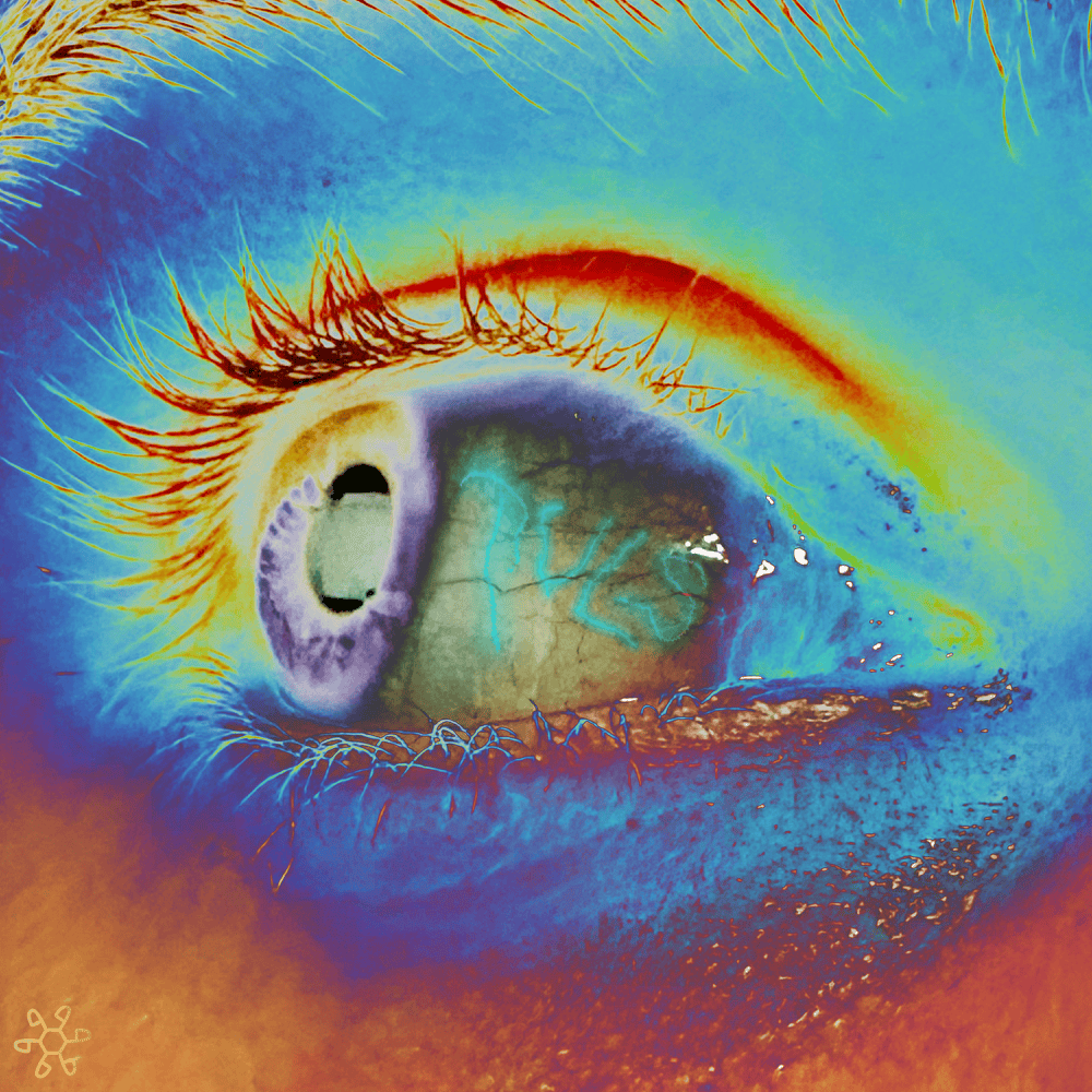 Cover image for PULS