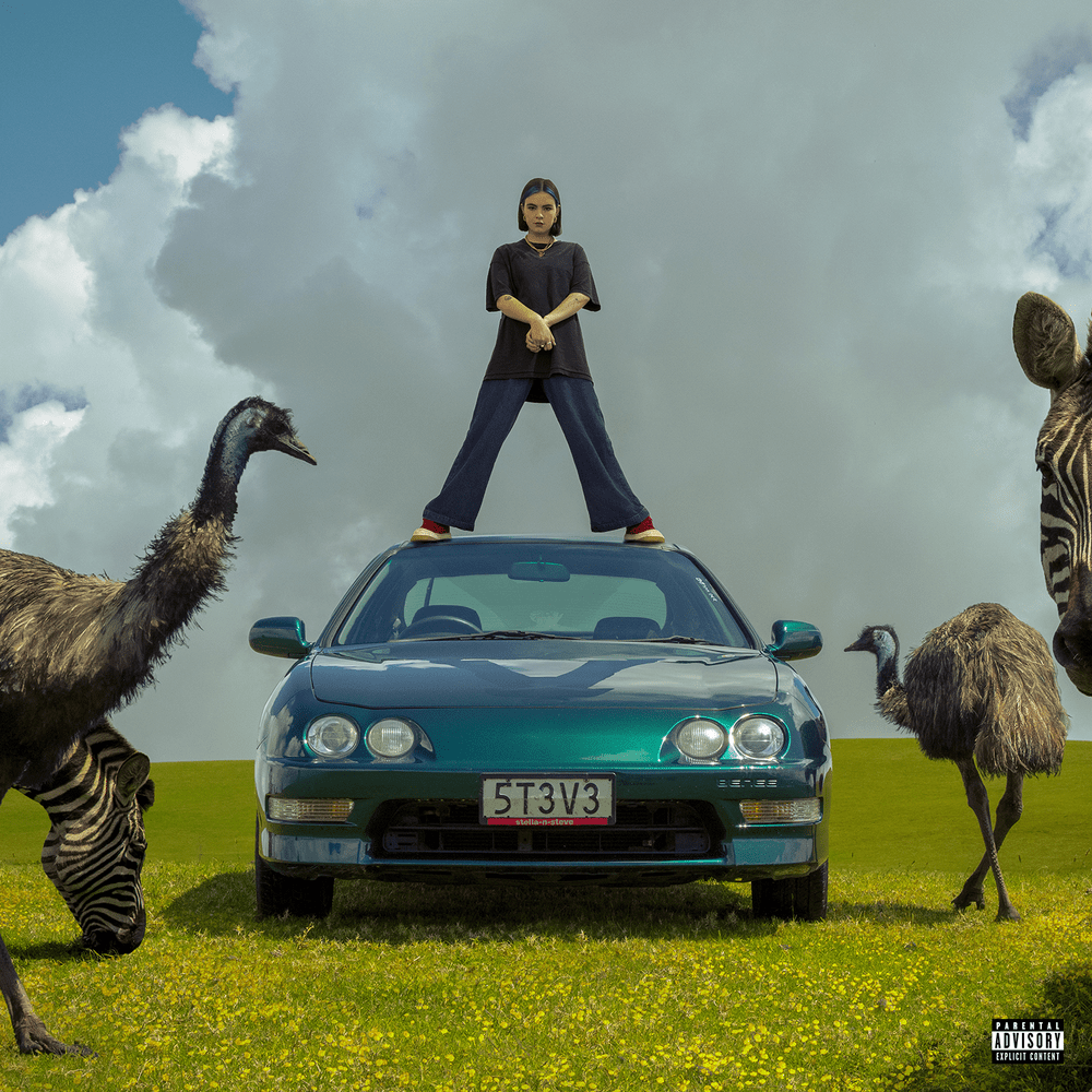 Cover image for Stella & Steve