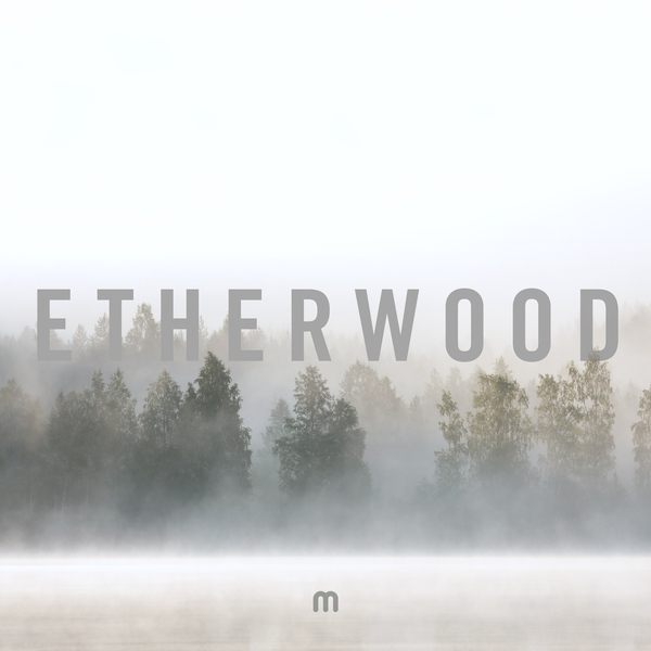 Album cover art for "Climbing" by Etherwood