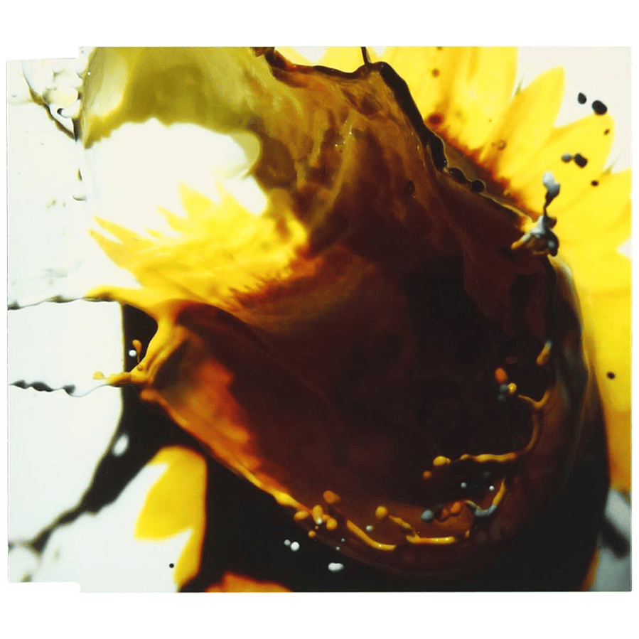 Album cover art for "光の結晶 (Crystal Of Light)" by THE BACK HORN