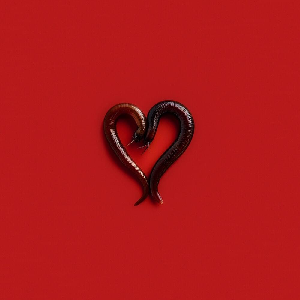 Album cover art for "Любовь оставляет во мне следы (Love leaves traces in me)" by Маугли (Mowgli) (RUS)