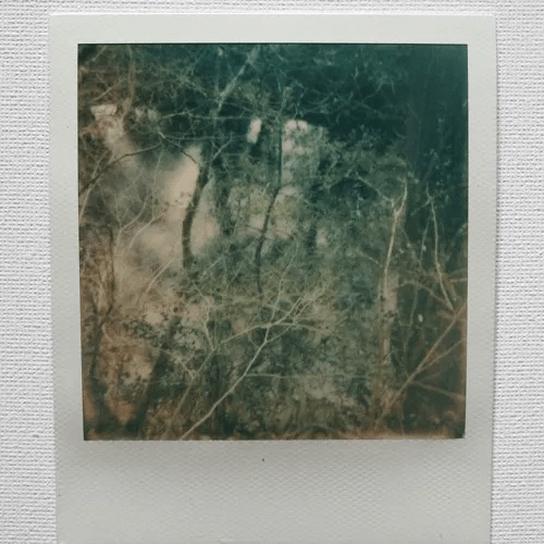 Album cover art for "​endless november" by Kodyak