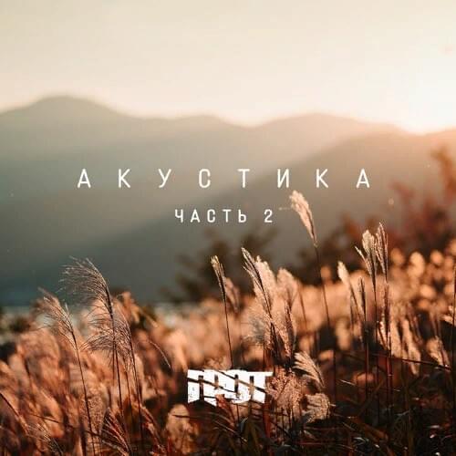 Cover image for Акустика, Ч. 2 (Acoustics, P. 2)