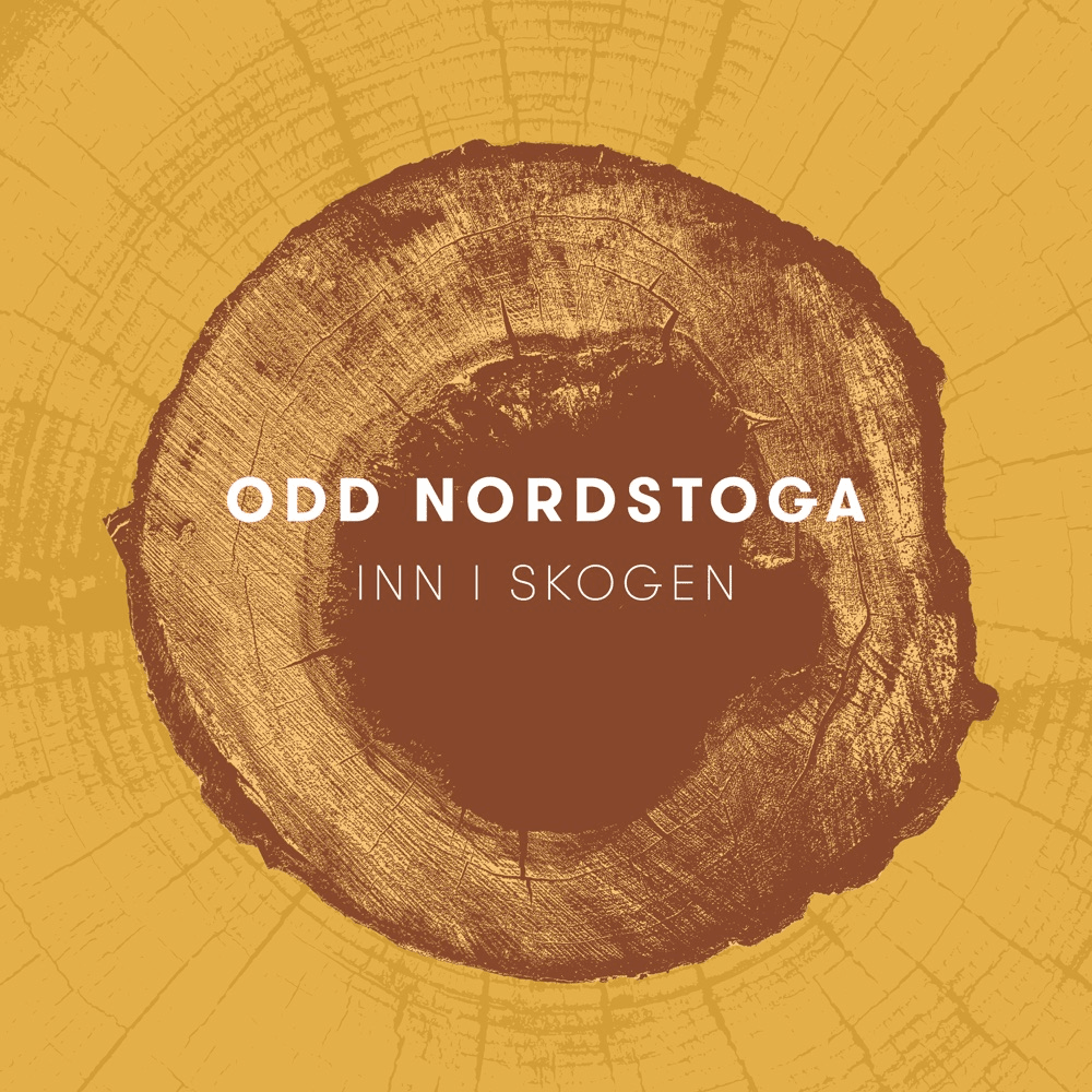 Cover image for Inn i skogen