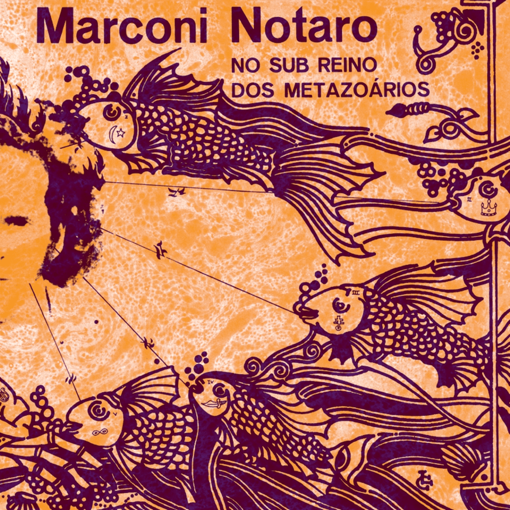 Album cover art for "Áh Vida Ávida" by Marconi notaro
