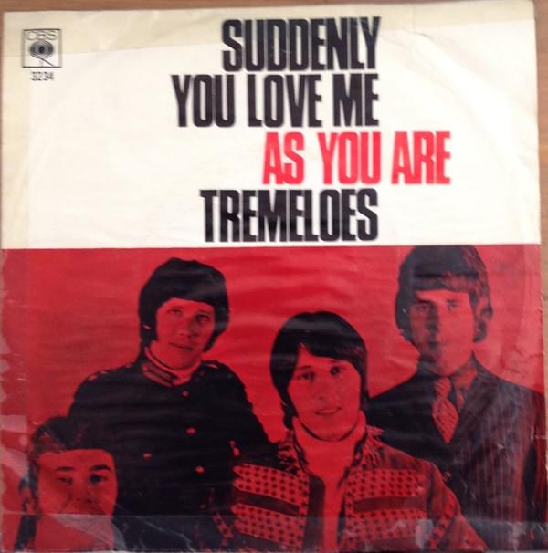 Suddenly You Love Me by The Tremeloes