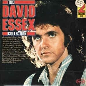 Cover image for The David Essex Collection