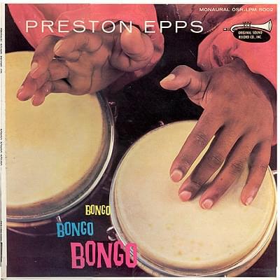 Bongo Rock by Preston Epps