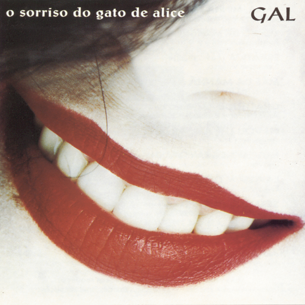 Album cover art for "Nuvem Negra" by Gal Costa