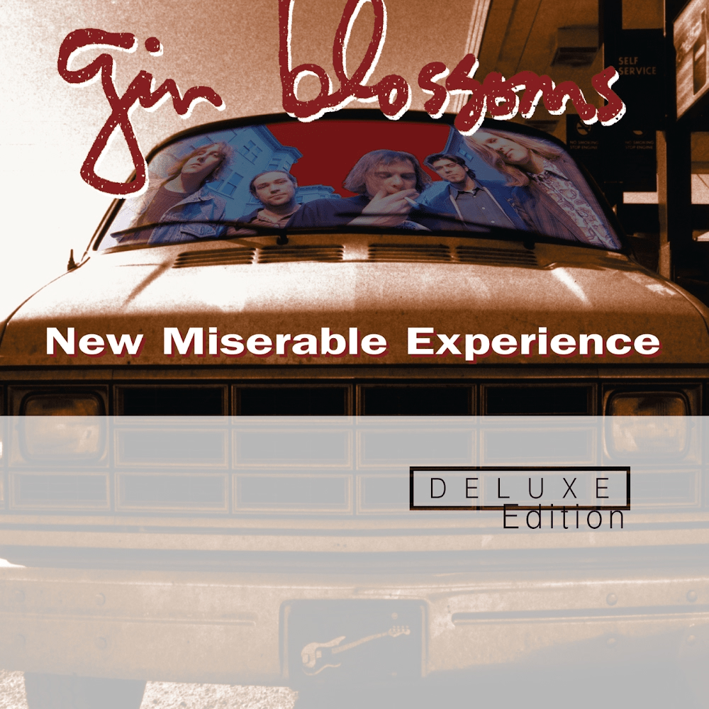 Cover image for New Miserable Experience (Deluxe Edition)