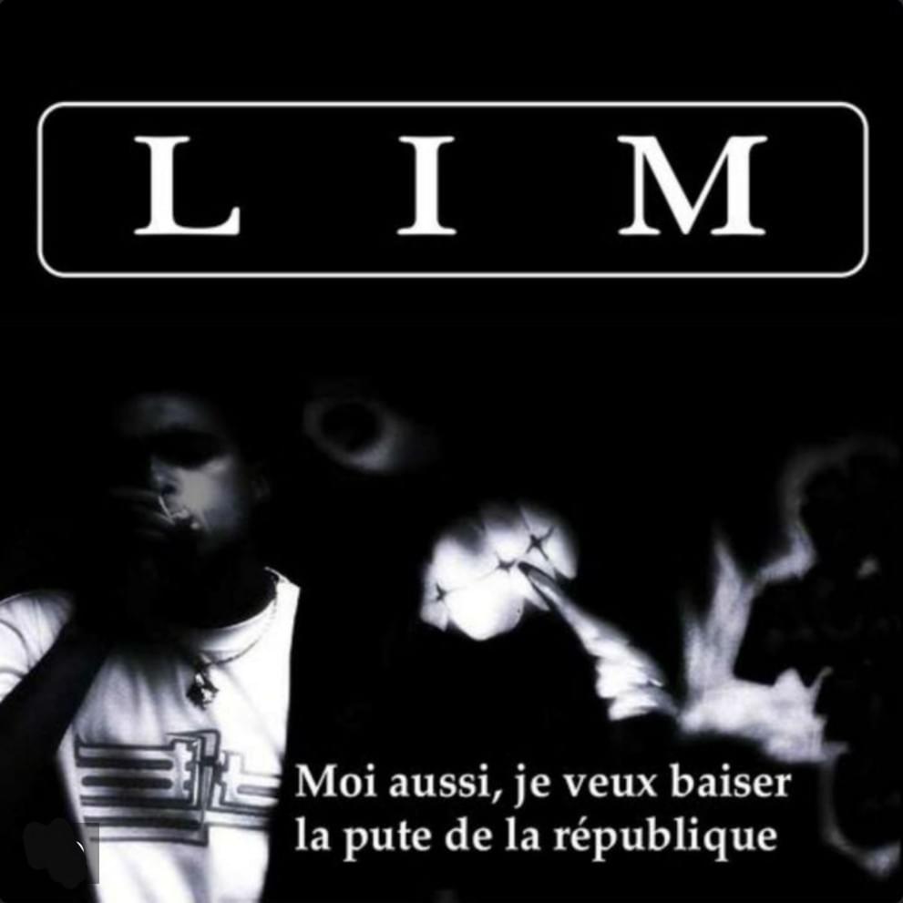 Cover image for Moi aussi, je veux baiser la p*te de la république