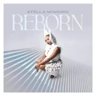 Cover image for Reborn