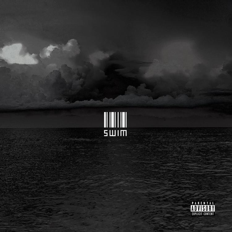 Cover image for Swim