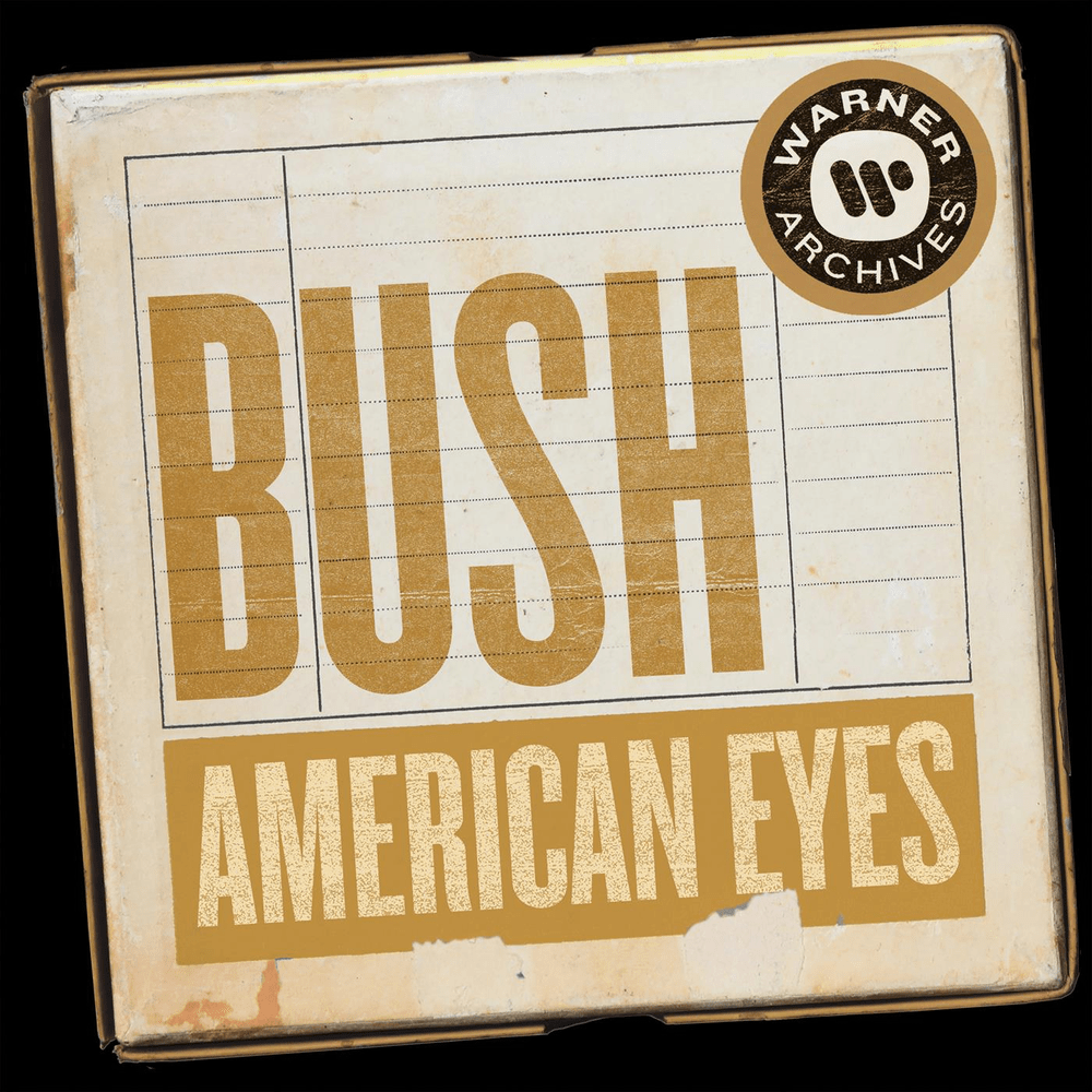 Album cover art for "American Eyes" by Bush