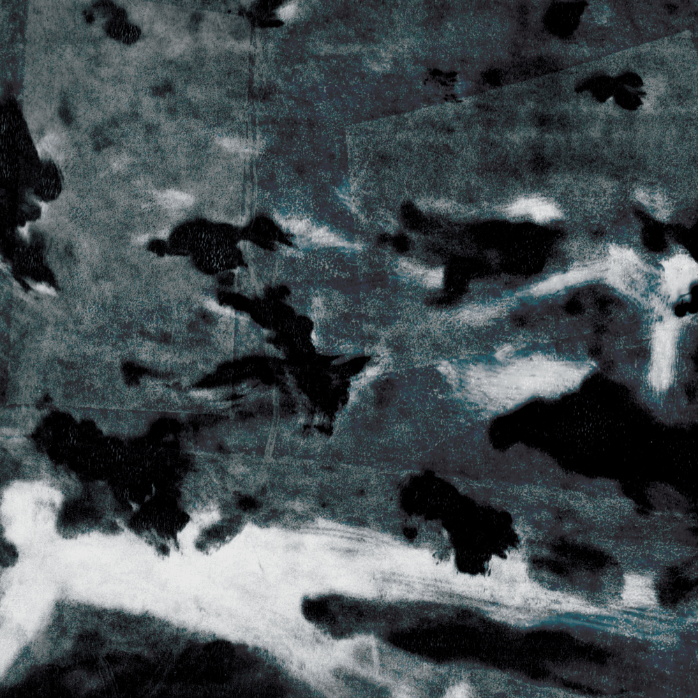 Cover image for A MURDER OF CROWS