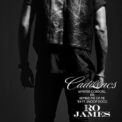 Album cover art for "XIX" by Ro James