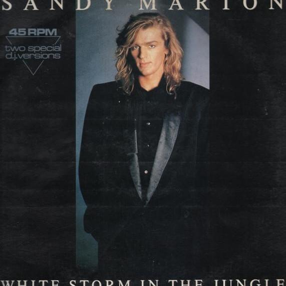 Cover image for White Storm In The Jungle (Two Special D.J. Versions)