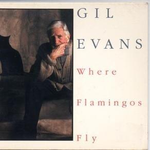 Cover image for Where Flamingos Fly