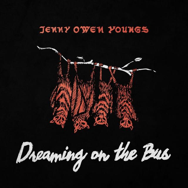 Album cover art for "Dreaming on the Bus" by Jenny Owen Youngs