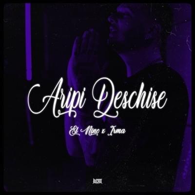 Album cover art for "Aripi deschise" by El Nino & Irma (ROU)