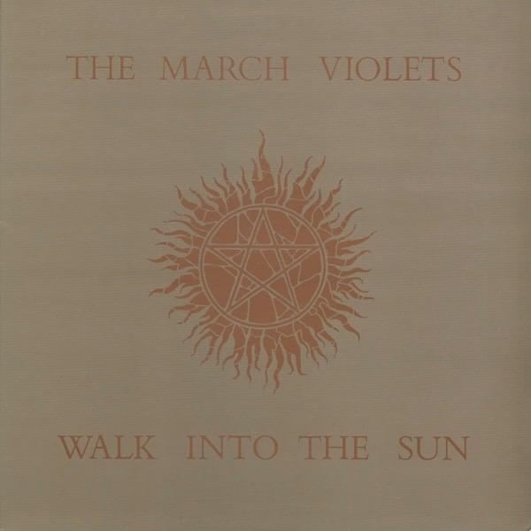 Cover image for Walk Into The Sun