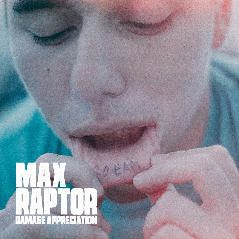 Damage Appreciation by Max Raptor