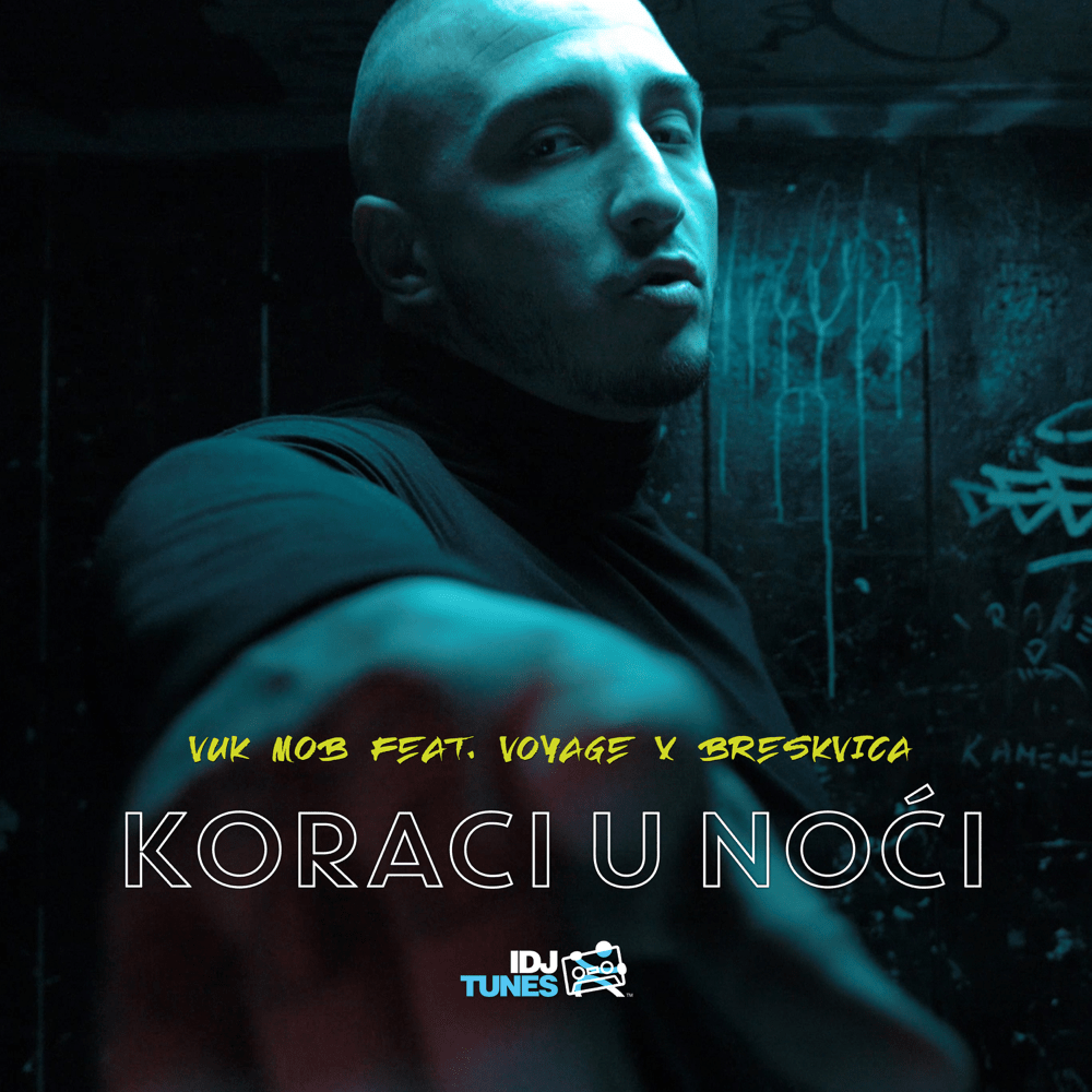 Koraci u noći by Vuk Mob