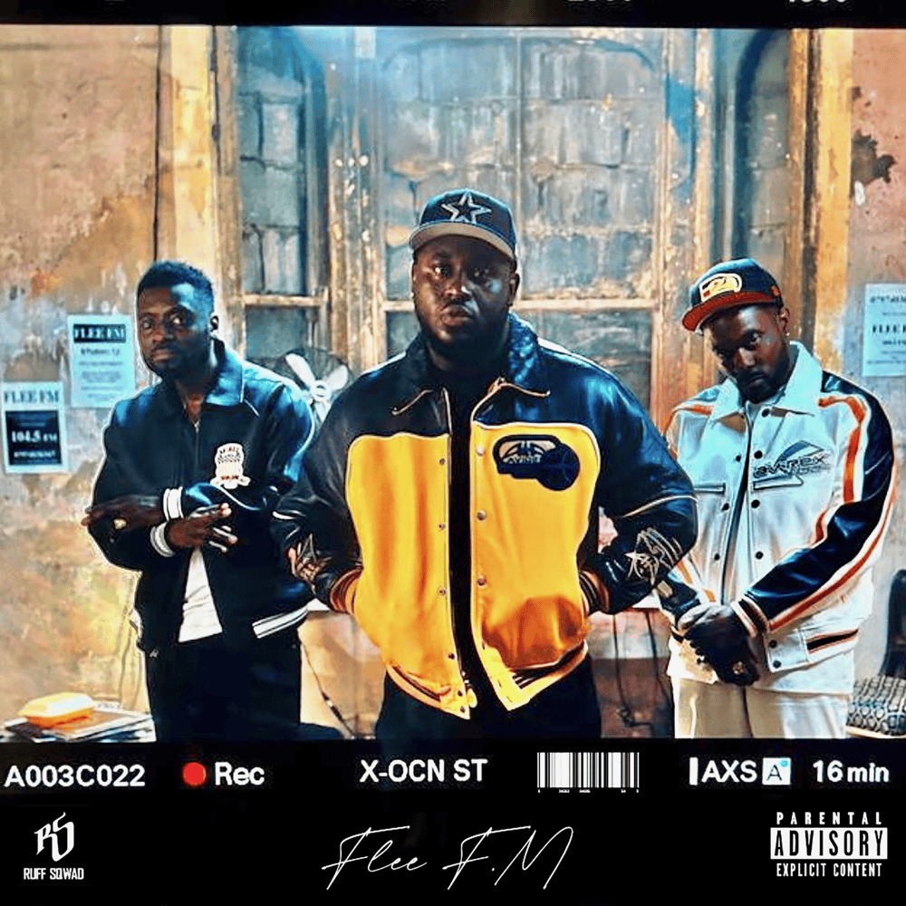 Cover image for Flee FM