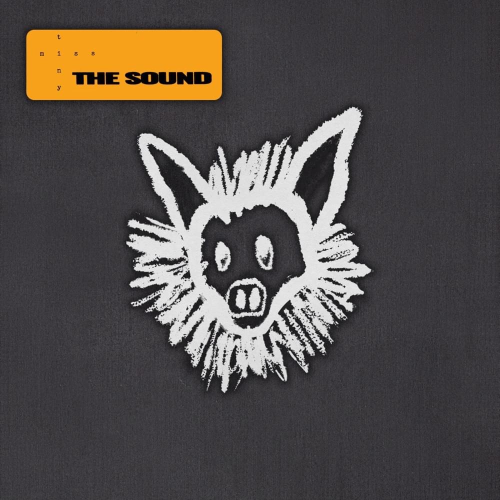 Album cover art for "The Sound" by Lip Critic