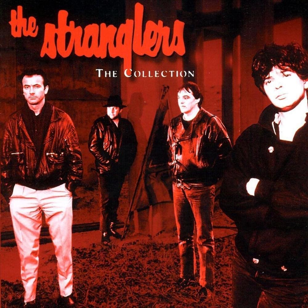 Cover image for The Collection