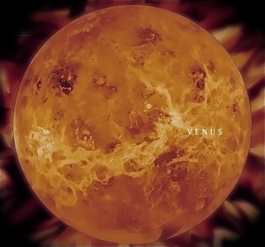 Cover image for Venus