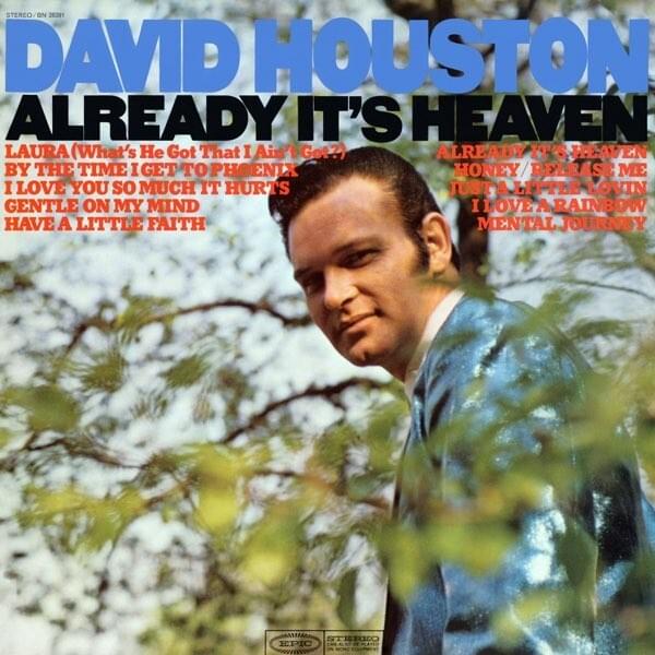 I Love You So Much It Hurts by David Houston
