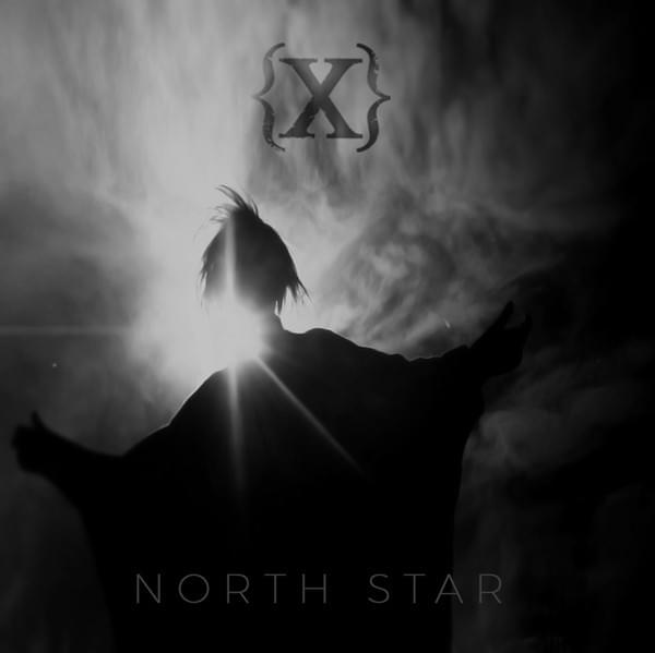 Album cover art for "North Star" by IAMX