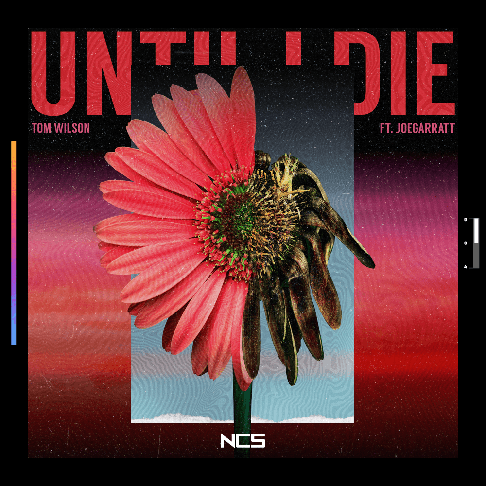 Until I Die by Tom Wilson (UK)