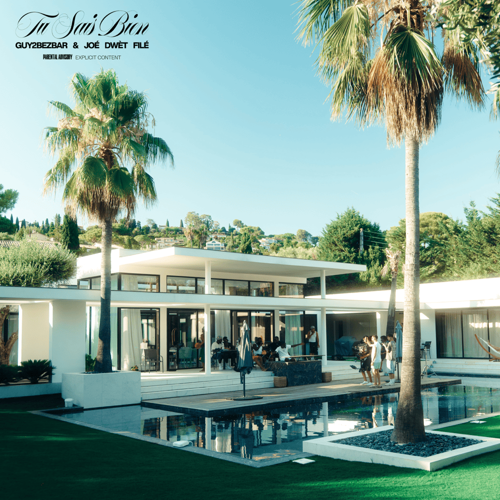 Album cover art for "Tu sais bien" by Guy2Bezbar & Joé Dwèt Filé