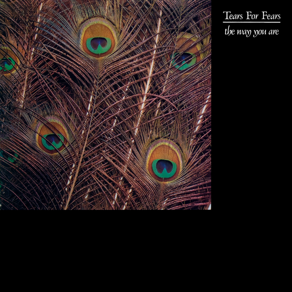Album cover art for "The Way You Are (Extended Version)" by Tears for Fears