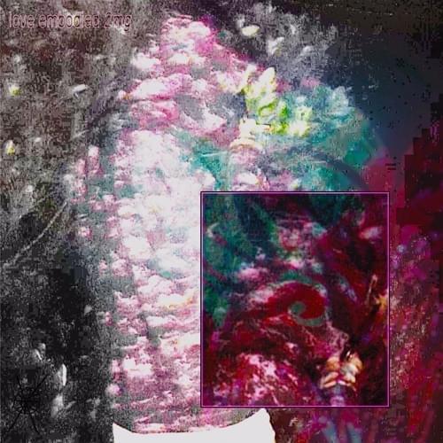 Album cover art for "drugs & whine/ur love was denied" by ego mackey & Leon’sWOLF