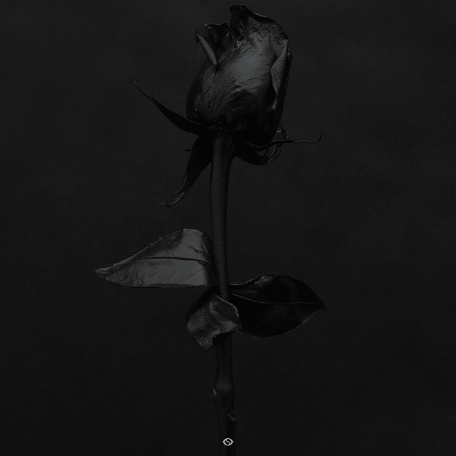 Time Off by StarRo