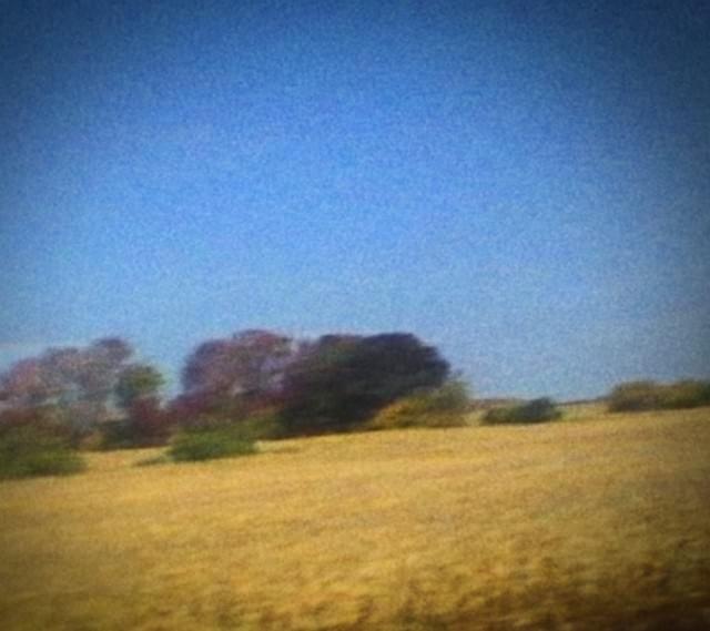 Ben’s My Friend by Sun Kil Moon