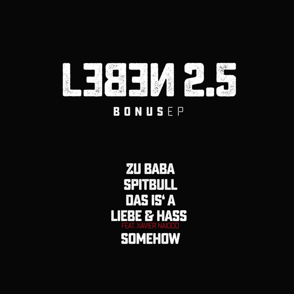 Cover image for Leben 2.5 EP