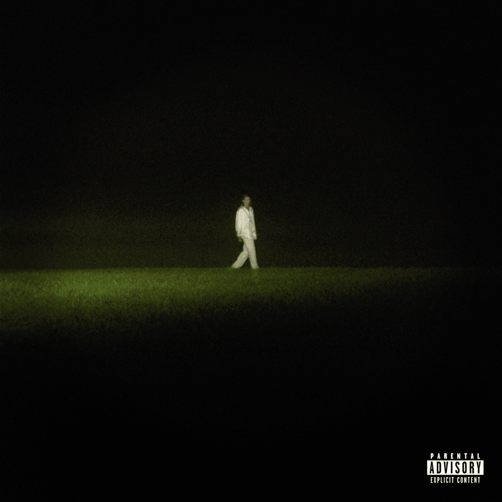Album cover art for "ANIMAL" by PVRIS