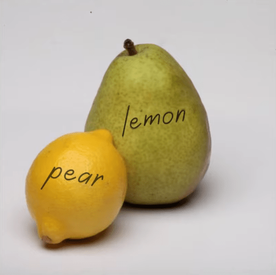 Album cover art for "Lemons & Pears" by Soapstone 2000