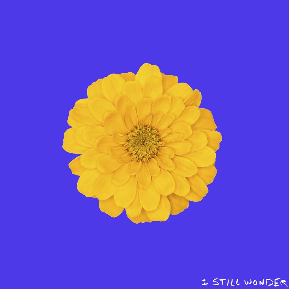 Album cover art for "I Still Wonder" by The Chain Gang of 1974