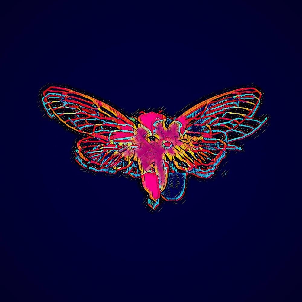 Album cover art for "CiCadas" by chicagoland