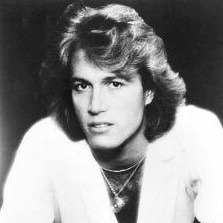 Cover image for Andy Gibb