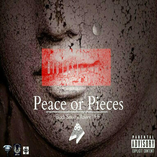 Album cover art for "Peace or Pieces" by Black Smurf