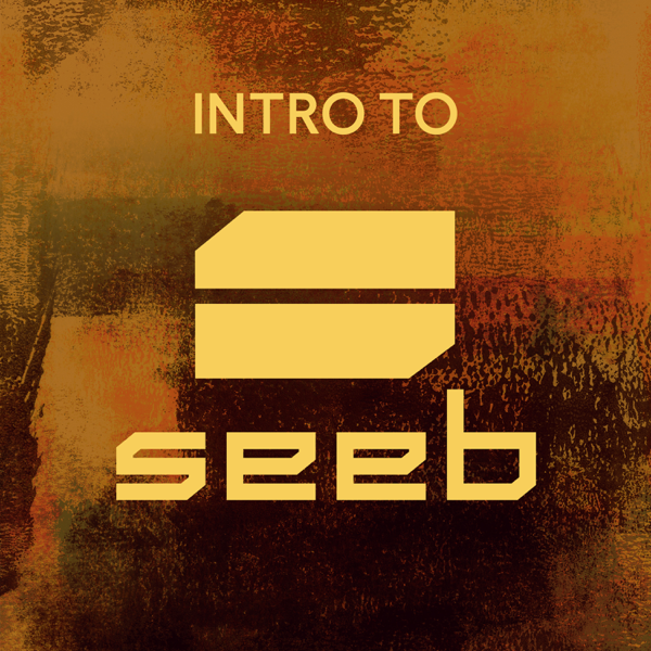 Cover image for Intro to Seeb