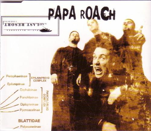 Album cover art for "Last Resort" by NOW That’s What I Call Music!