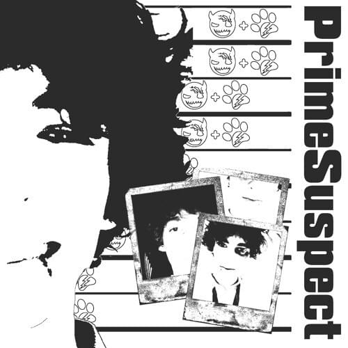 Cover image for Prime Suspect